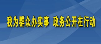 我為群眾辦實(shí)事 政務(wù)公開(kāi)在行動(dòng)